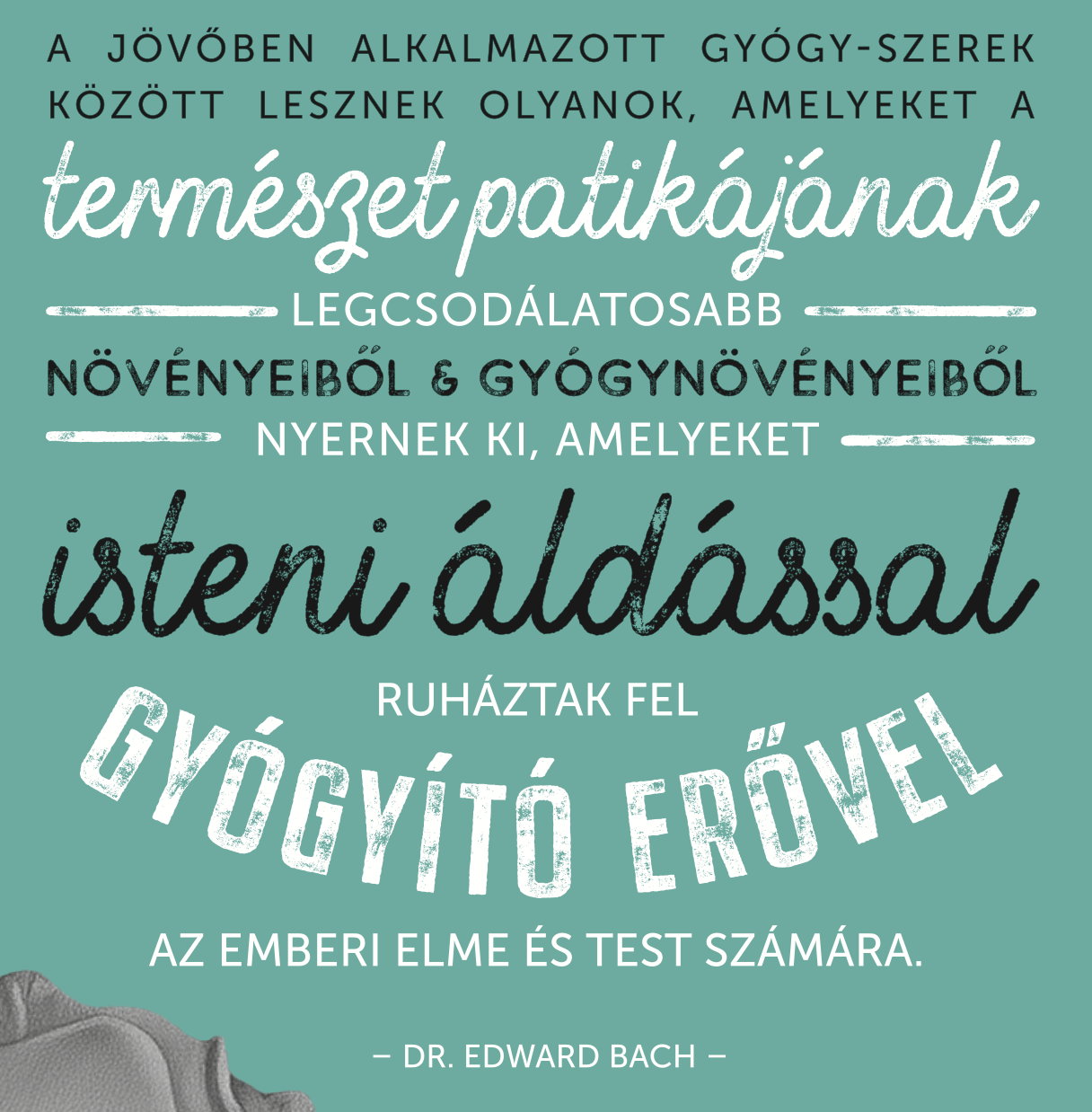 Esszenciális érzelmeink 13. kiadás