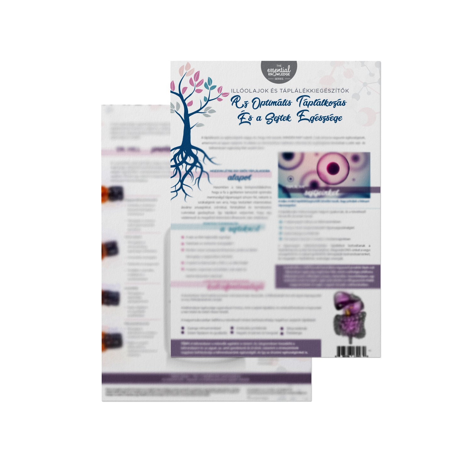 Essential Knowledge sorozat: Az optimális táplálkozás és a sejtek egészsége - Tépőtömb (25 lapos)- MAGYAR NYELVŰ