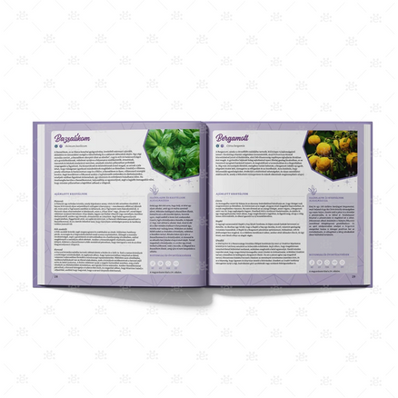 Oil Magic – A Föld kincsei könyv – illóolaj és kristály párosítások részlete