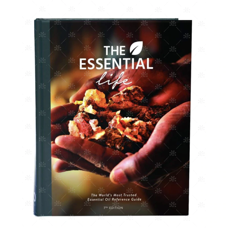 Essential Life Book - 7.kiadás Edition Angol nyelvű (Keménytáblás)